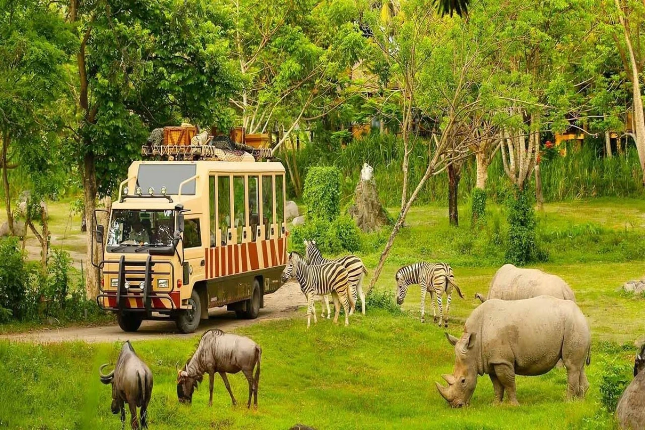 Khám phá thế giới động vật hoang dã tại Công viên Safari