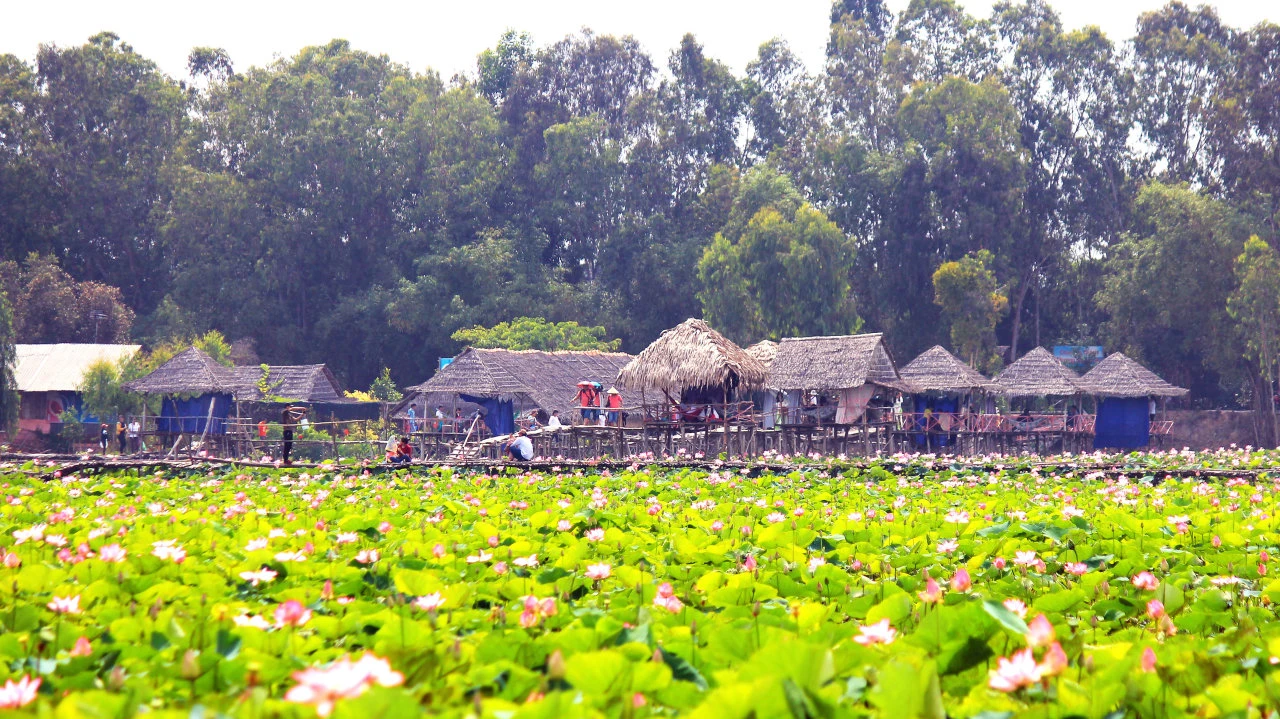 Khu du lịch sinh thái Đồng Tháp Mười là điểm đến tuyệt vời nằm gần Eco Retreat Long An