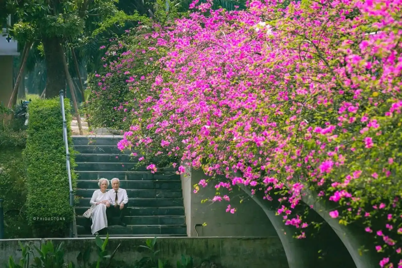 Eco Retreat – Nơi Tình Yêu Thiên Nhiên Chữa Lành Tâm Hồn